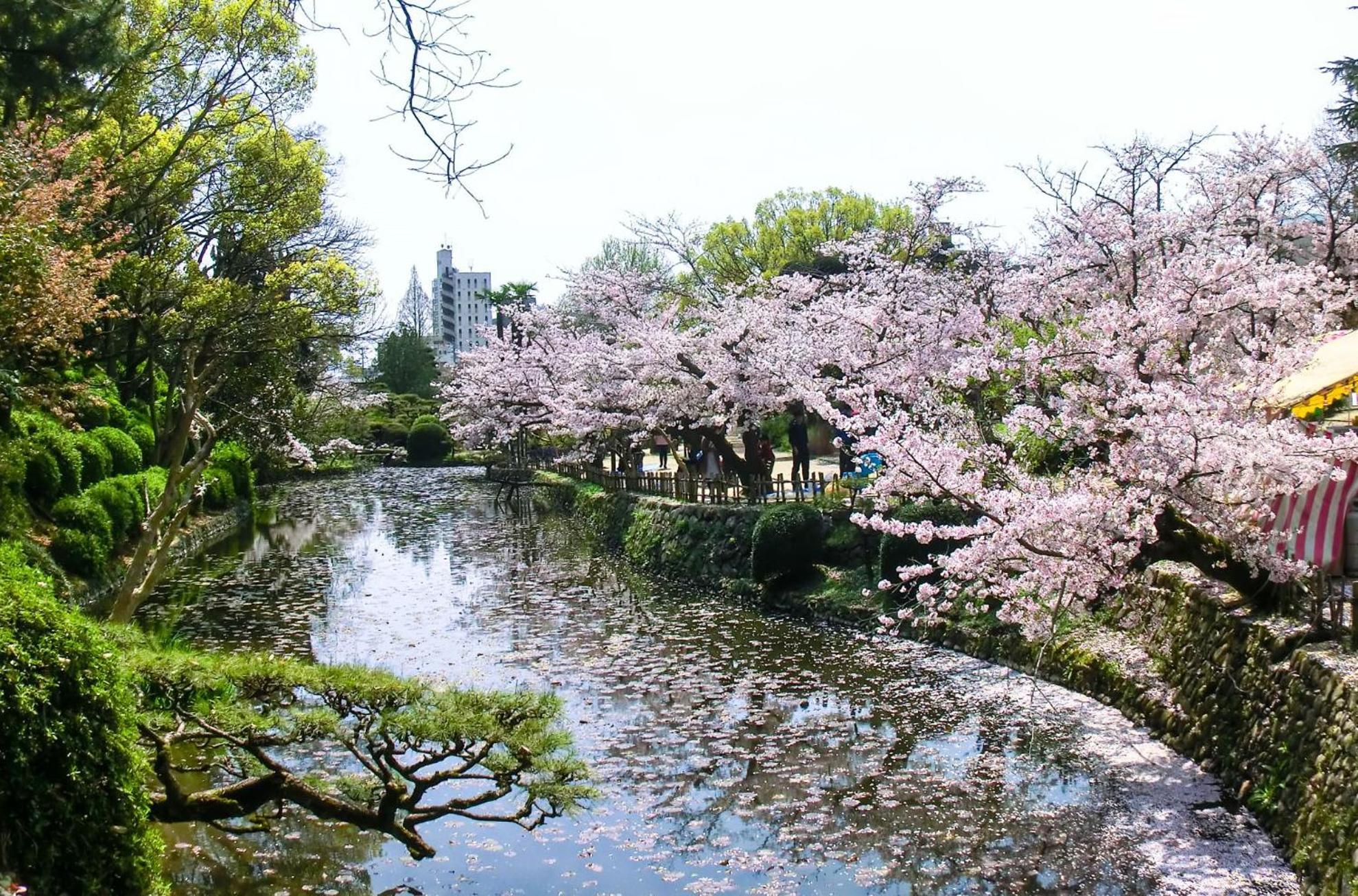 媛楽園 松山中心地及び道後温泉に近い家族やグループ旅行の多人数が泊まれる快適な宿 Exteriér fotografie