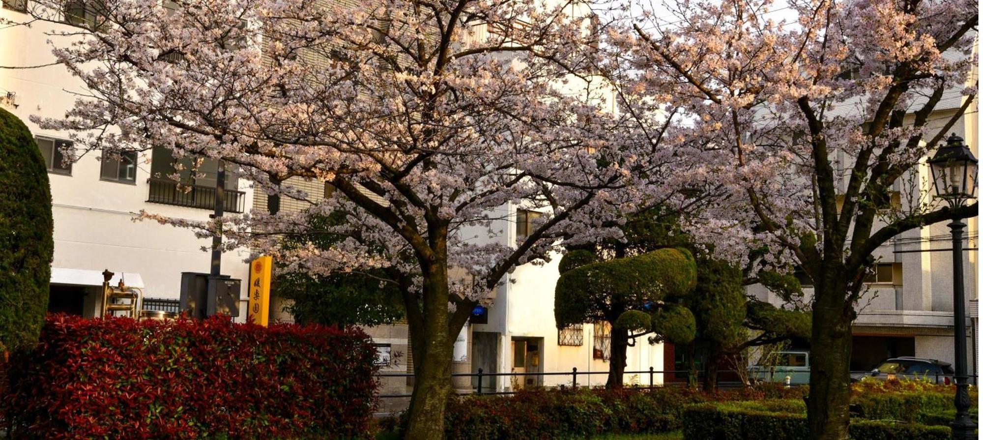 媛楽園 松山中心地及び道後温泉に近い家族やグループ旅行の多人数が泊まれる快適な宿 Exteriér fotografie
